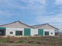 Nave Ganadera y Fosa, Navia