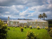Palacio de Campos, Tapia