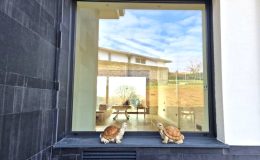 Casa AL 14 Arquitectos Quintero